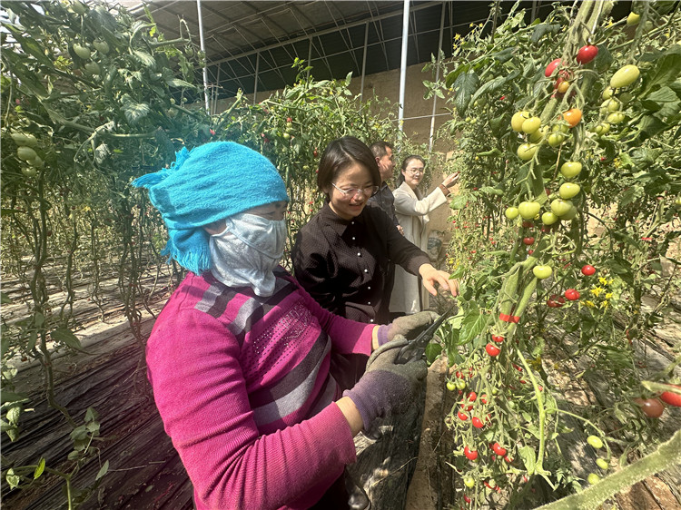 3月21日，兰州市皋兰县纪委监委干部深入田间地头，全覆盖监督检查春耕备耕开展情况。王娟 摄_副本.jpg