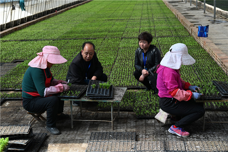 正值春耕农忙时节，兰州市榆中县纪委监委紧盯春耕备耕这条主线，采取“组地”联动监督模式，主动深入田间地头，实地走访农业种植合作社开展“下沉式监督”，全力护航春耕生产。图为3月22日，该县纪检监察干部到夏官营镇化家营村好玉育苗基地向育苗大户了解有关情况。_副本.jpg