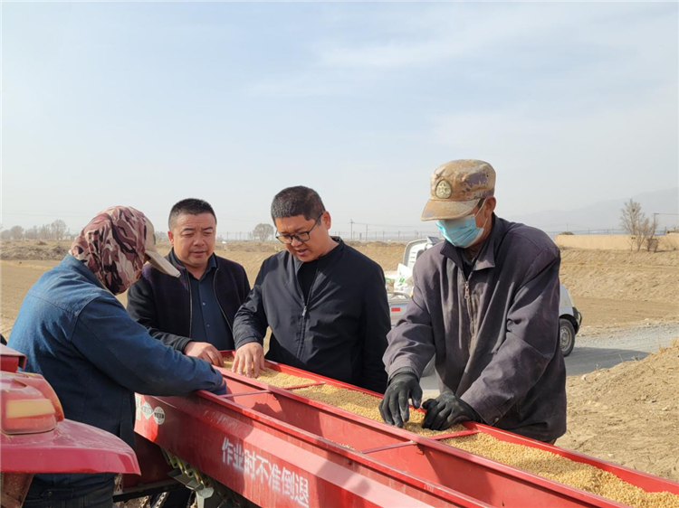 近日，张掖市山丹县纪委监委紧盯春耕备耕关键节点，深入田间地头、农业生产一线，强化对小麦播种、惠农政策落实等工作的监督检查。图为该县东乐镇纪委工作人员走访小寨村了解小麦种植情况。（毛亚萍 摄）_副本.png